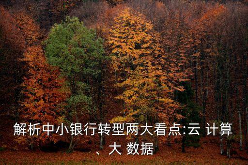 解析中小銀行轉(zhuǎn)型兩大看點(diǎn):云 計(jì)算、大 數(shù)據(jù)