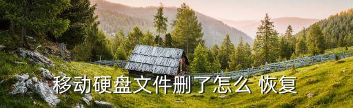 移動硬盤文件刪了怎么 恢復(fù)