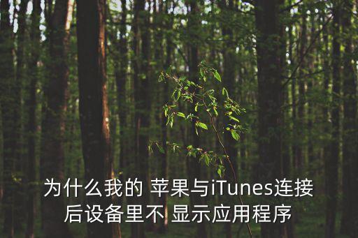 為什么我的 蘋果與iTunes連接后設(shè)備里不 顯示應(yīng)用程序
