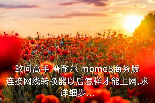 敢問高手 普耐爾 momo8商務(wù)版連接網(wǎng)線轉(zhuǎn)換器以后怎樣才能上網(wǎng),求詳細(xì)步...