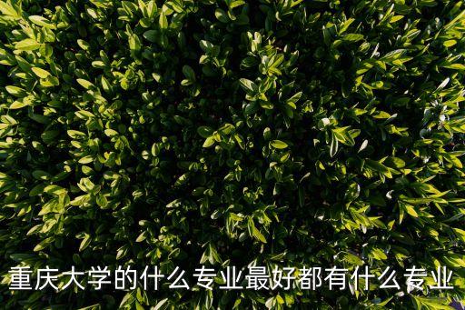 重慶大學(xué)的什么專業(yè)最好都有什么專業(yè)