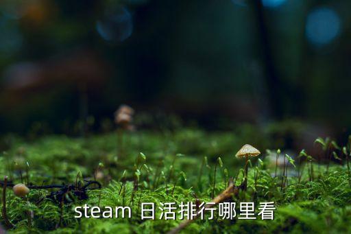 2017app日活數(shù)據(jù)排行榜