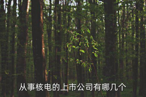 從事核電的上市公司有哪幾個(gè)