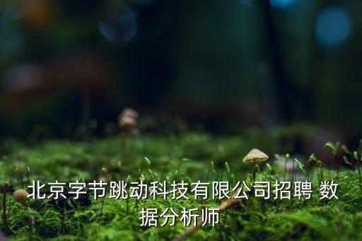  北京字節(jié)跳動(dòng)科技有限公司招聘 數(shù)據(jù)分析師