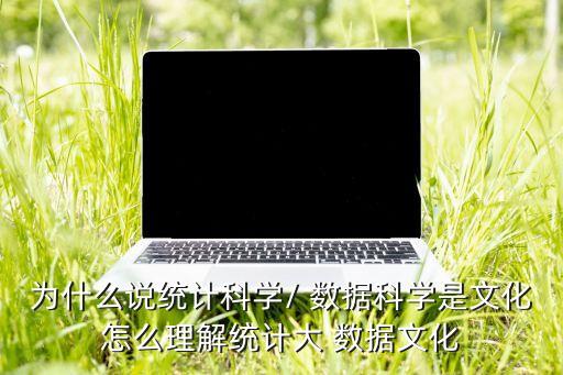 為什么說統(tǒng)計科學/ 數(shù)據(jù)科學是文化怎么理解統(tǒng)計大 數(shù)據(jù)文化