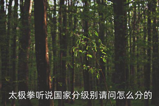  太極拳聽說國家分級(jí)別請問怎么分的
