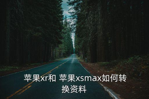  蘋果xr和 蘋果xsmax如何轉(zhuǎn)換資料