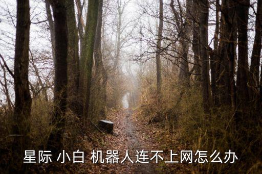 星際 小白 機(jī)器人連不上網(wǎng)怎么辦