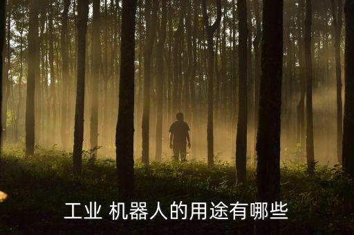工業(yè) 機(jī)器人的用途有哪些