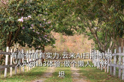 有顏有值有實(shí)力,云米AI掃拖 機(jī)器人Alpha3體驗(yàn):做個(gè)懶人,真舒坦