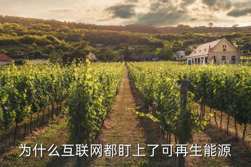為什么互聯(lián)網(wǎng)都盯上了可再生能源