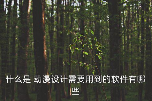 什么是 動漫設(shè)計需要用到的軟件有哪些