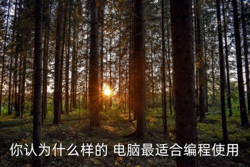 你認(rèn)為什么樣的 電腦最適合編程使用
