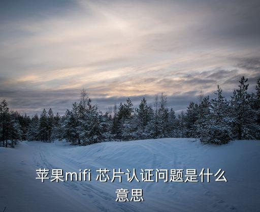  蘋果mifi 芯片認證問題是什么意思