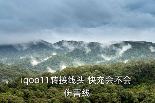 iqoo11轉(zhuǎn)接線頭 快充會(huì)不會(huì) 傷害線