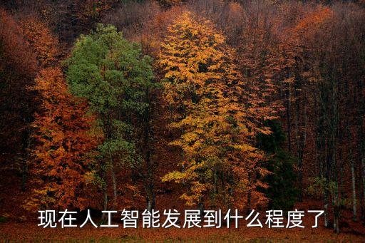 現(xiàn)在人工智能發(fā)展到什么程度了