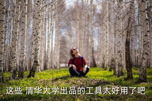清華九歌機(jī)器人,九歌app清華