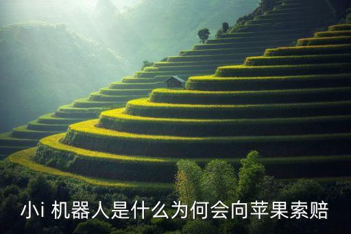 小i 機(jī)器人是什么為何會向蘋果索賠