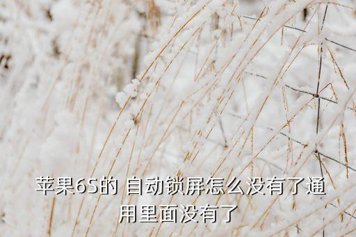 蘋果6s自動鎖設(shè)置不了