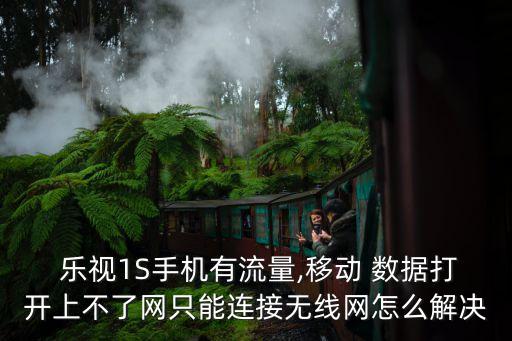  樂視1S手機有流量,移動 數(shù)據(jù)打開上不了網(wǎng)只能連接無線網(wǎng)怎么解決