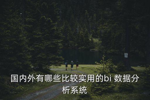 國內(nèi)外有哪些比較實用的bi 數(shù)據(jù)分析系統(tǒng)
