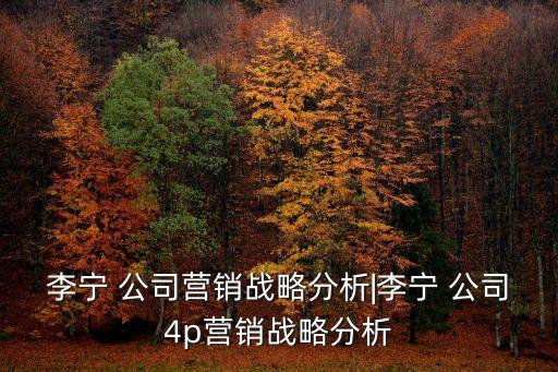 李寧 公司營銷戰(zhàn)略分析|李寧 公司4p營銷戰(zhàn)略分析