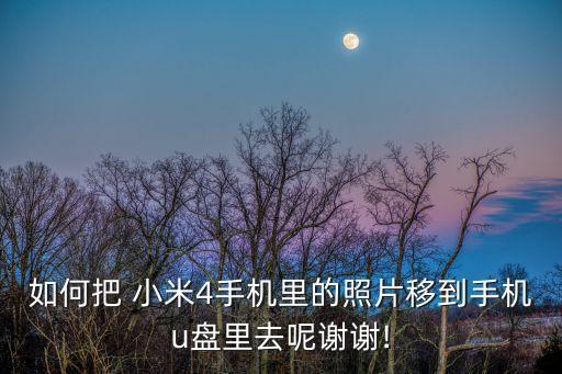 如何把 小米4手機(jī)里的照片移到手機(jī)u盤(pán)里去呢謝謝!