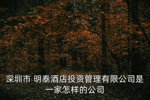 深圳市 明泰酒店投資管理有限公司是一家怎樣的公司