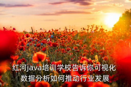 大數(shù)據(jù)陳新河