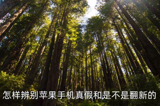 怎樣辨別蘋果手機真假和是不是翻新的