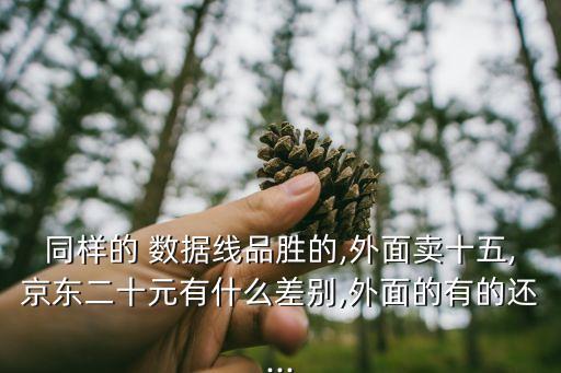 同樣的 數(shù)據(jù)線品勝的,外面賣十五,京東二十元有什么差別,外面的有的還...