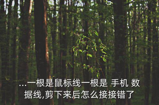 手機(jī)數(shù)據(jù)線如何制作,如何查看手機(jī)數(shù)據(jù)線型號(hào)