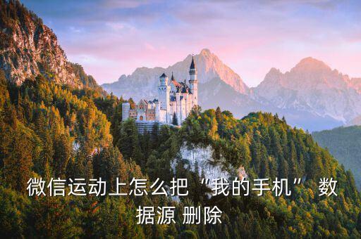  微信運動上怎么把“我的手機” 數(shù)據(jù)源 刪除