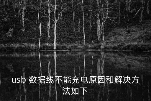 USB數(shù)據(jù)線,usb數(shù)據(jù)線怎么連接手機和電腦