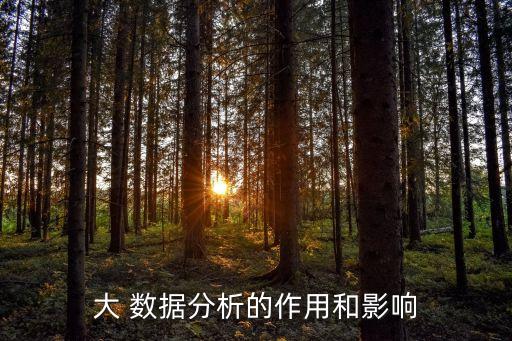 大數(shù)據(jù)數(shù)據(jù)分析,什么是大數(shù)據(jù)