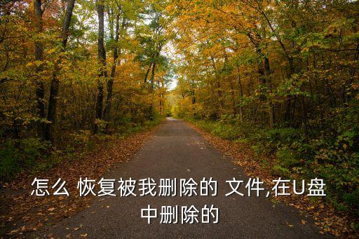 怎么 恢復(fù)被我刪除的 文件,在U盤(pán)中刪除的
