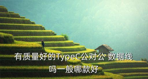 有質(zhì)量好的TypeC公對公 數(shù)據(jù)線嗎一般哪款好
