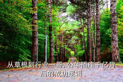 從草根到行業(yè)一哥, 公牛插座千億背后的成功邏輯