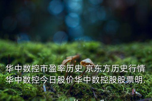 華中數(shù)控市盈率歷史 京東方歷史行情華中數(shù)控今日股價華中數(shù)控股股票明...