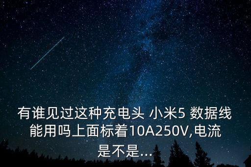 有誰見過這種充電頭 小米5 數據線能用嗎上面標著10A250V,電流是不是...