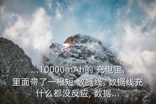 ...10000mAh的 充電寶,里面帶了一根短 數(shù)據(jù)線, 數(shù)據(jù)線充什么都沒反應(yīng), 數(shù)據(jù)...