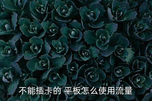不能插卡的 平板怎么使用流量