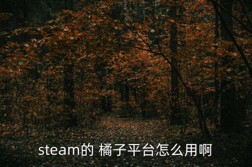 steam的 橘子平臺怎么用啊