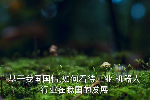 基于我國(guó)國(guó)情,如何看待工業(yè) 機(jī)器人行業(yè)在我國(guó)的發(fā)展