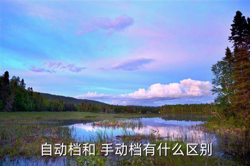  自動檔和 手動檔有什么區(qū)別