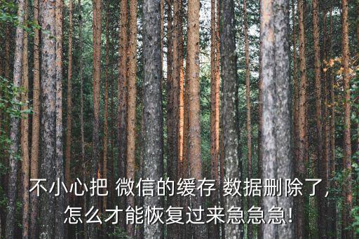 不小心把 微信的緩存 數(shù)據(jù)刪除了,怎么才能恢復過來急急急!