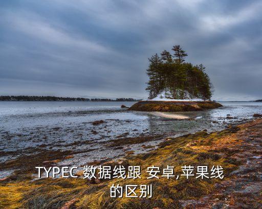 TYPEC 數(shù)據(jù)線跟 安卓,蘋果線的區(qū)別