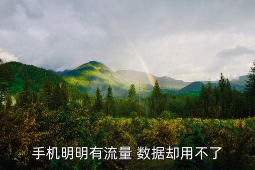 手機(jī)明明有流量 數(shù)據(jù)卻用不了