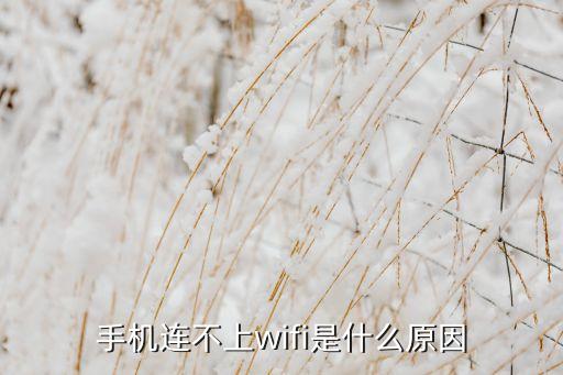 為什么沒有無線數(shù)據(jù)連接,手機(jī)無線和數(shù)據(jù)都能連接上但是用不了