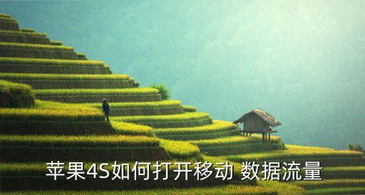 蘋果4s移動(dòng)數(shù)據(jù)怎么開啟